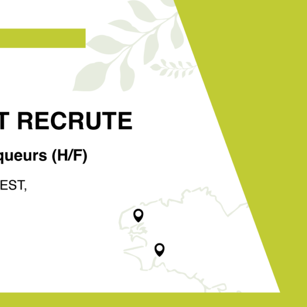 recrutement-auditeurs-diagnostiqueurs-offre-d-emploi